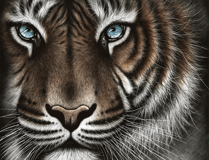 Colin Banks - Look into my eyes image