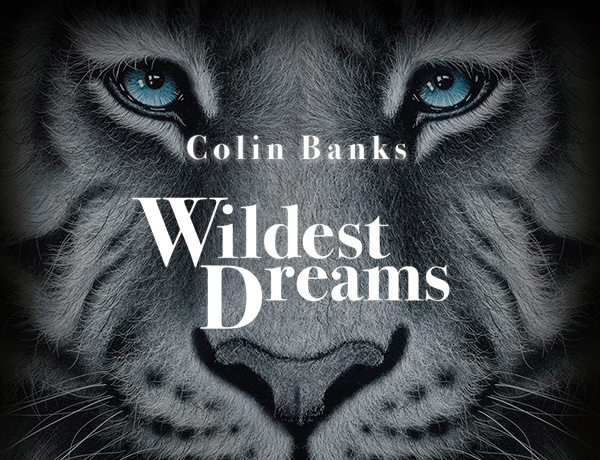 Colin Banks - Wildest Dreams image