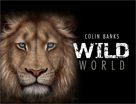 Colin Banks - The Wild World image