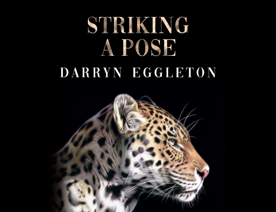 Darryn Eggleton - Something wild image