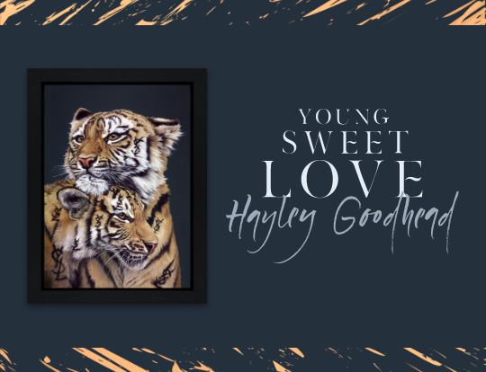 Hayley Goodhead - Young Sweet Love image
